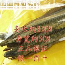 【央视推荐】野生海蛇/海蛇肉干/海蛇干/泡酒佳品/500克 全国包邮