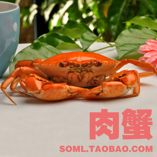  特价促销 三门青蟹 鲜活海鲜 海鲜蝤蛑海蟹螃蟹公蟹 非帝王蟹醉蟹