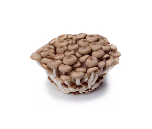  中国有机绿色食品专营 天地生 蟹味菇500g 新鲜蔬菜 北京满百包邮