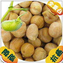 包运费新疆特产 鹰嘴豆(生)250g 预防高血压 糖尿病克星 营养之王