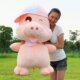 儿童节礼物 麦兜猪 小猪猪 生日礼物 抱枕 创意女 毛绒玩具 大号