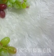 儿童摄影道具/影楼用品/摄影背景/宝宝拍照毛毯(1.6*x1*)特价