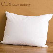 CLS Down Products  Shangri-La�Ƶ�ר�� ������о��ͷ ����