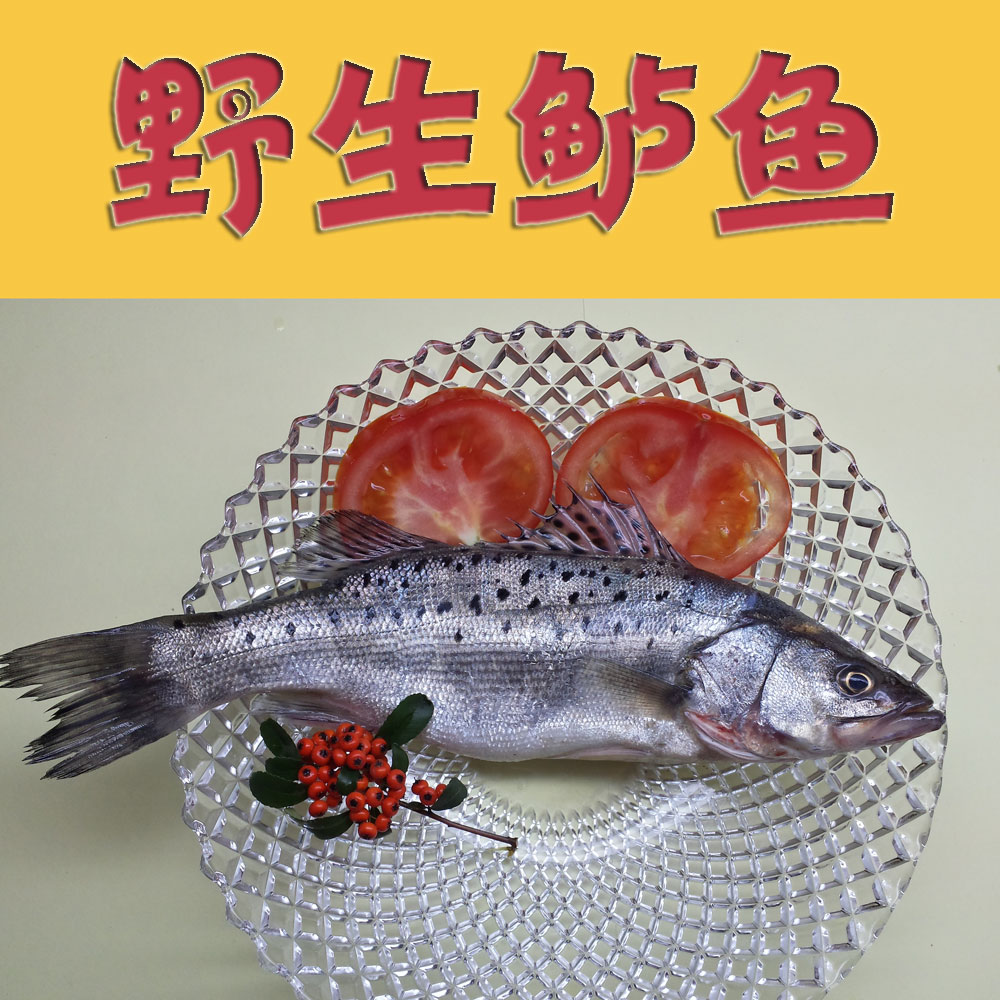 新鲜鲈鱼 大鲈鱼 当地海捕鲈鱼 大寨鱼 2斤左右/条 新鲜海鱼在类目 水产肉类/新鲜蔬果/熟食, 海鲜/水产品/制品, 其它中 - 来自Buy2taobao.com提供专业的淘宝代购服务