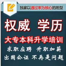 远程在线辅导(远程学历在线辅导)