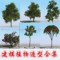 上下架计划:2014高精度植物树单体3D模型库建筑室外效果图园林VR全模型渲染