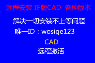 远程安装CAD2007200820102012201320cad无法u图片