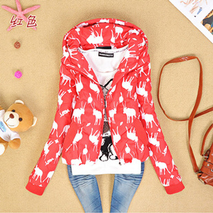 淘宝网韩版淑女冬装2013<em>少女装外贸</em>正品牌修