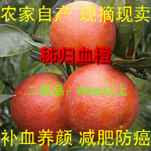  特色年货绿色橙子血橙脐橙新鲜水果中华红乳红肉补血养颜20斤包邮