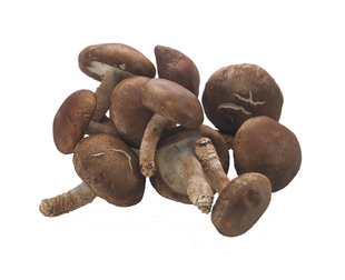  中国有机绿色食品专营 天地生 香菇500g 新鲜蔬菜 北京满百包邮