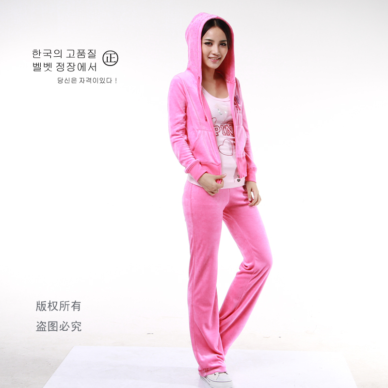 韩国运动休闲 pink 女天鹅绒运动套装 长款韩版卫衣 2016秋冬新款在类目 女装/女士精品, 卫衣/绒衫中 - 来自Buy2taobao.com提供专业的淘宝代购服务