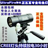 包邮5W蓝光 白光钓鱼灯/夜钓灯30小时双光源防水送饵灯配三脚架