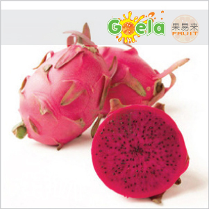  【果易来】新鲜水果 越南红心火龙果 红肉 3斤起江浙沪包邮