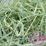 taobao english 3565916523