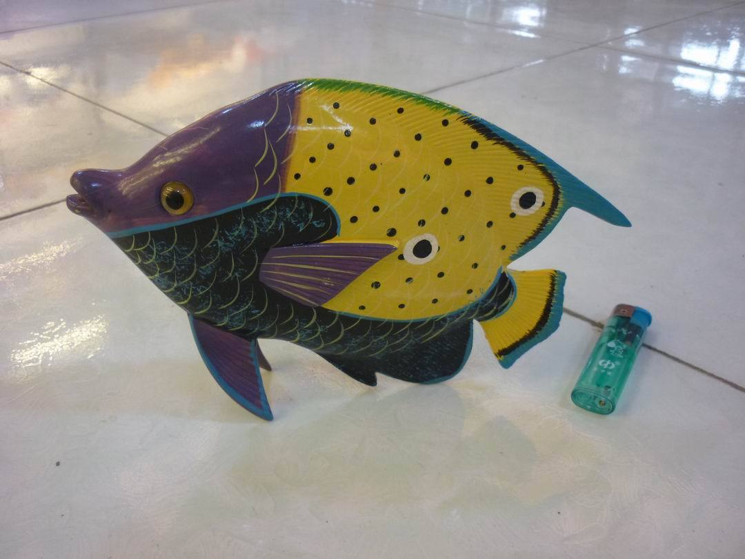 大型热带鱼观赏鱼排行榜大型热带鱼观赏鱼价格