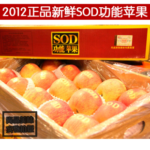  岭宝SOD有机苹果 灵宝寺河山SOD功能苹果 新鲜水果礼品红富士苹果