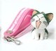 起司猫-甜甜私房猫-9只/套共34元带彩色胶圈