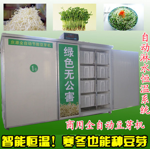 大型商用全自动豆芽机日产40-1000斤豆芽机品牌豆芽机黄绿豆