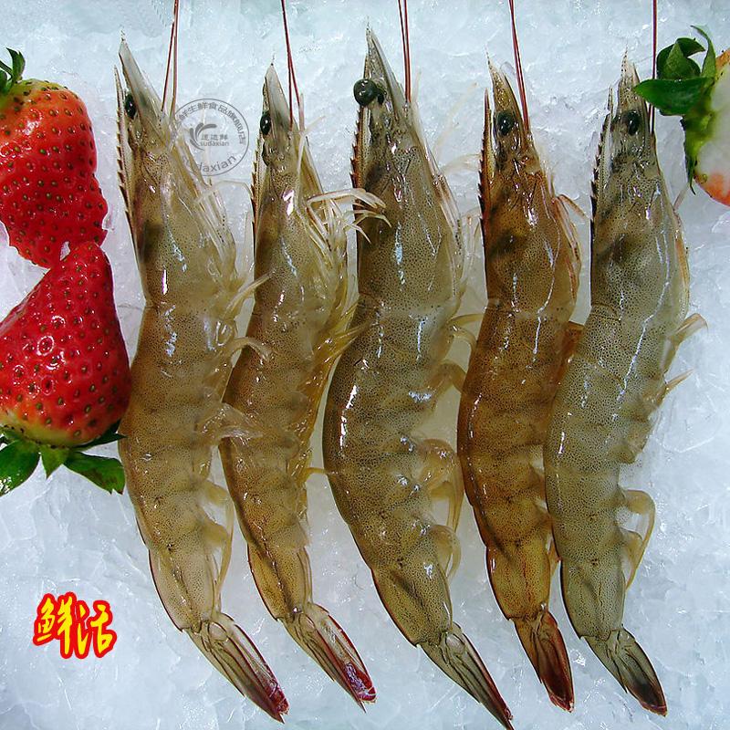 North Sea Seafood Fresh Aquatic products Shrimp Prawn Shrimp Shrimp Fresh shipments Good qualityin the Aquatic meat/Fresh fruits and vegetables/Cooked , Seafood/Aquatic/Product , Shrimp , Huoxia category - from Buy2taobao.com to provide professional Taobao agent buy service