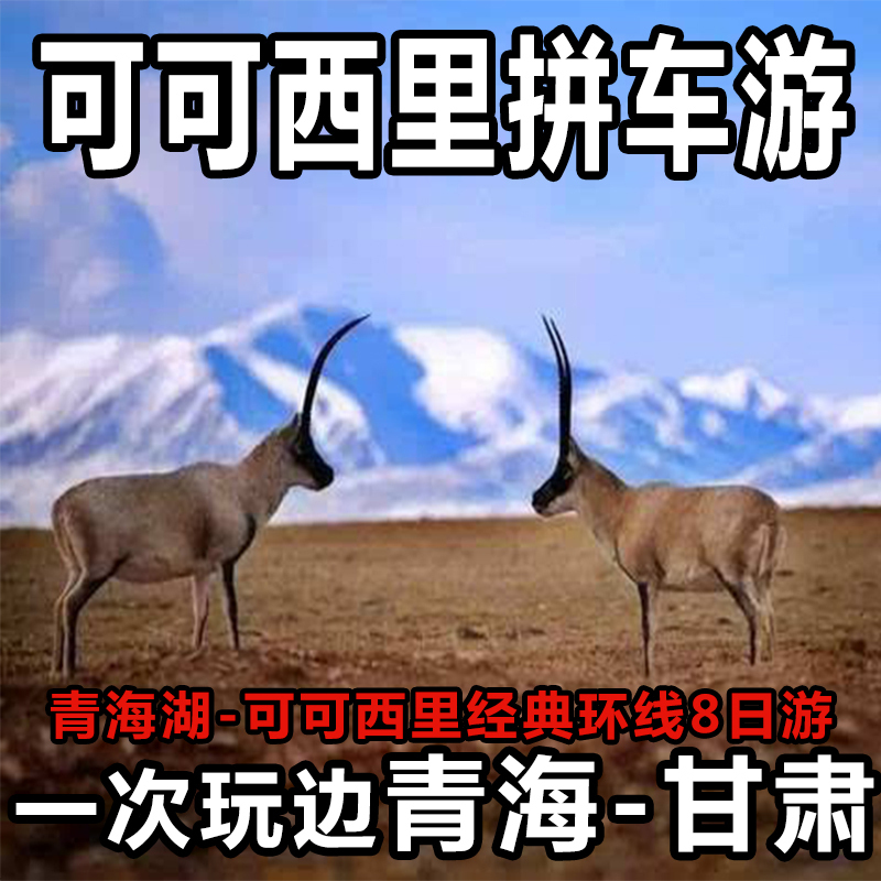 Qinghai Tourism Aquatic Jadin Hoh Xil No man's land Kunlun Mountains Golmud Loop Line Visit Carpoolin the Holiday Line/Visas send off/Travel services , Visit/Tuanyou , Domestic exercise category - from Buy2taobao.com to provide professional Taobao agent buy service