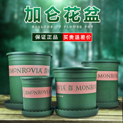 环球树脂塑料圆形加仑花盆阳台种菜多肉种花盆栽绿萝月季园艺花盆