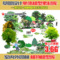 上下架计划:草图大师SU园林景观人植物手绘平面sketchup组件/模型库2D/3D素材