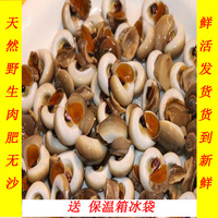 徽价-宝烘焙工具 江浙沪徽包邮特价金属国旗类