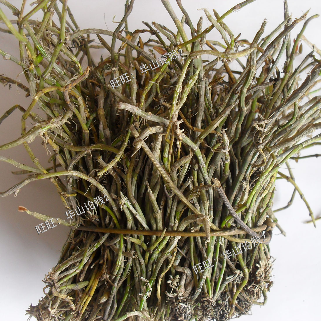 小黄草石斛新鲜环草石斛细黄草石斛鲜条野生石斛|msdalam kategori makanan berkhasiat tradisional, Dendrobium/Fengdou - dari Buy2taobao.com untuk memberikan perkhidmatan ejen Taobao profesional membeli