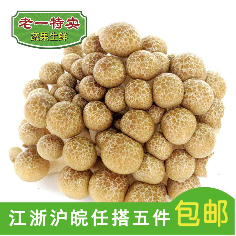 老一特卖 蟹味菇 蟹味菇 真姬菇 新鲜食用菌 150g左右在类目 粮油米面/南北干货/调味品, 南北干货/肉类干货, 干货/土特产, 香菇类中 - 来自Buy2taobao.com提供专业的淘宝代购服务