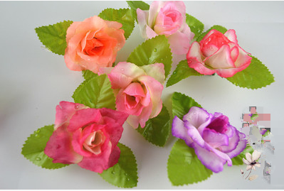 Japanese Sashimi Diah food decorate Display cabinet decorate Flowers Dried Flower rosein the Kitchen/Cooking utensils , Kitchen Gadgets/Kitchen storage , Sushi DIY Appliance , Sushi Kit/Cooking kit category - from Buy2taobao.com to provide professional Taobao agent buy service