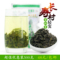 上下架计划:2014新茶叶 绿茶 玉叶春香绿茶 恩施高山有机富硒茶 袋装500g包邮