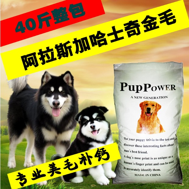 阿拉斯加哈士奇薩摩耶金毛德牧成犬幼犬專用狗糧犬糧20kg包郵在類目 寵物/寵物食品及用品, 犬主糧中 - 來自Buy2taobao.com提供專業的淘寶代購服務