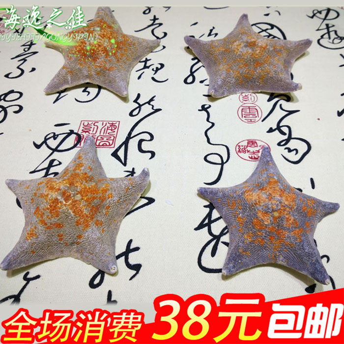 天然地图海星 五指星 无上色 地台装饰墙贴 婚嫁 拍摄影道具背景在类目 家居饰品, 创意饰品, 海螺/贝壳/珊瑚中 - 来自Buy2taobao.com提供专业的淘宝代购服务