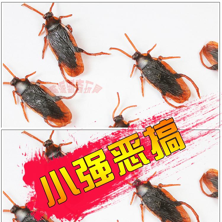 The whole person Xiaoqiang Tricky Cockroach simulation Cockroach lifelike Cockroach Xiaoqiang Insect Scaryin the Festive supplies/Gift , Tricky supplies category - from Buy2taobao.com to provide professional Taobao agent buy service