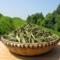 上下架计划:甜菊叶花草茶特级无糖美容养颜正品特价批发30g 任意6件包邮