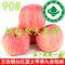 上下架计划:现货 山东特产正宗烟台苹果栖霞红富士新鲜水果 90#10斤批发包邮