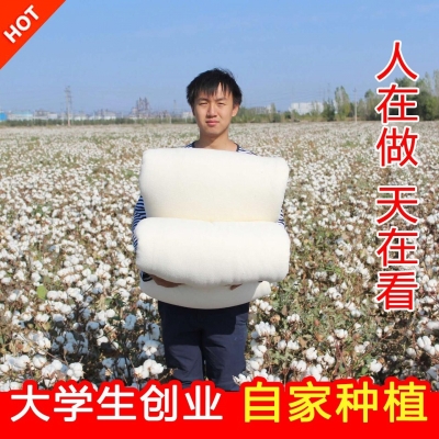 新疆棉被纯棉花被子冬被全棉春秋被芯棉絮床被褥子单人学生棉胎
