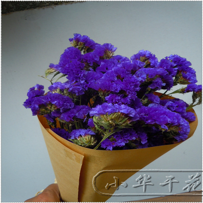 Dried flowers Forget me not Crystal Grass Photo props Photography packing Mini Tanabata Holiday giftsin the Home accessories , Vase/Flower/Artificial flowers/Imitation jewelry , Dried flowers/Petal/Dried package/Dry twigs category - from Buy2taobao.com to provide professional Taobao agent buy service