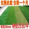 上下架计划:20mm加密人工人造草坪仿真草坪塑料阳台假草皮幼儿园草坪地毯包邮