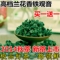 上下架计划:2014新茶安溪茶叶秋茶铁观音极品兰花香铁观音浓香特级1725观音王