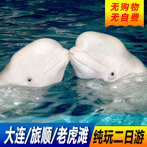 大连二日游 老虎滩旅顺精华景点2日游 含一晚酒店住宿纯玩无购物在类目 度假线路/签证送关/旅游服务, 自由行/跟团游, 国内跟团游中 - 来自Buy2taobao.com提供专业的淘宝代购服务