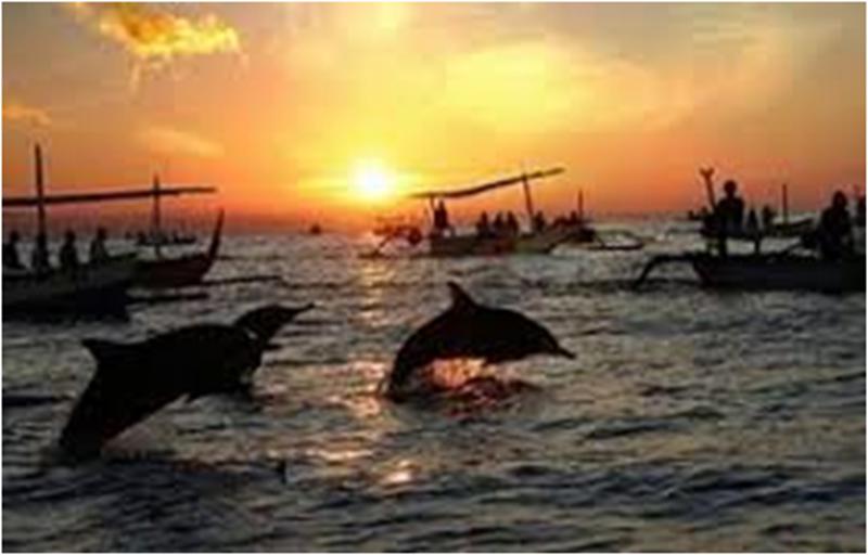 Bali Rottweiler Dolphin Package Along After Baidu Tanah Lot Volcano Quan hot springin the Holiday Line/Visas send off/Travel services , Play at destination, Overseas Play Packages category - from Buy2taobao.com to provide professional Taobao agent buy service