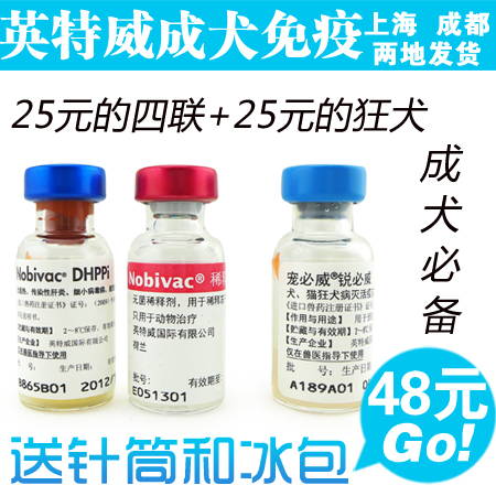成年犬补种加强免疫套餐正品英特威四联狂犬套餐 保真 送针筒冰包