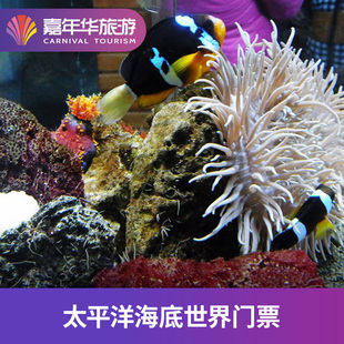 太平洋海底世界博览馆-大门票北京 太平洋海底世界博览馆