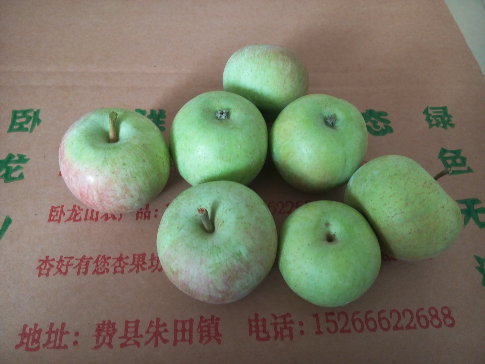 小國光蘋果,山東沂蒙山新鮮蘋果,老品種,老口味5斤,9月份上市在類目 水產肉類/新鮮蔬果/熟食, 新鮮水果, 蘋果中 - 來自Buy2taobao.com提供專業的淘寶代購服務