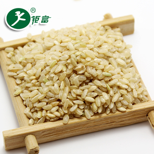 钜富 东北糙米玄米粳米可发芽糙米