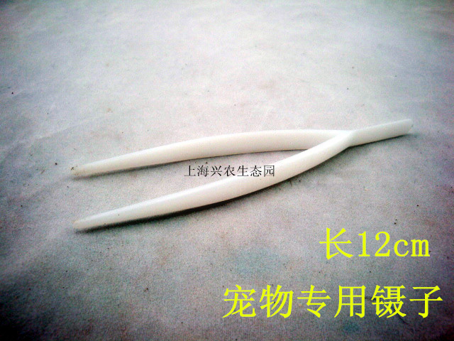 爬箱清理鑷子 喂食夾 喂面包蟲攝子 水龜陸龜蜥蜴喂藥夾子 小號在類目 寵物/寵物食品及用品, 爬蟲/鳴蟲及其用品, 爬蟲/鳴蟲用具中 - 來自Buy2taobao.com提供專業的淘寶代購服務