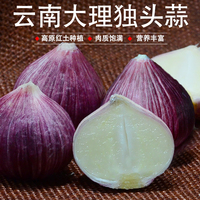 大理紫皮大蒜-蔬菜农家自种1500g包邮蒋氏食