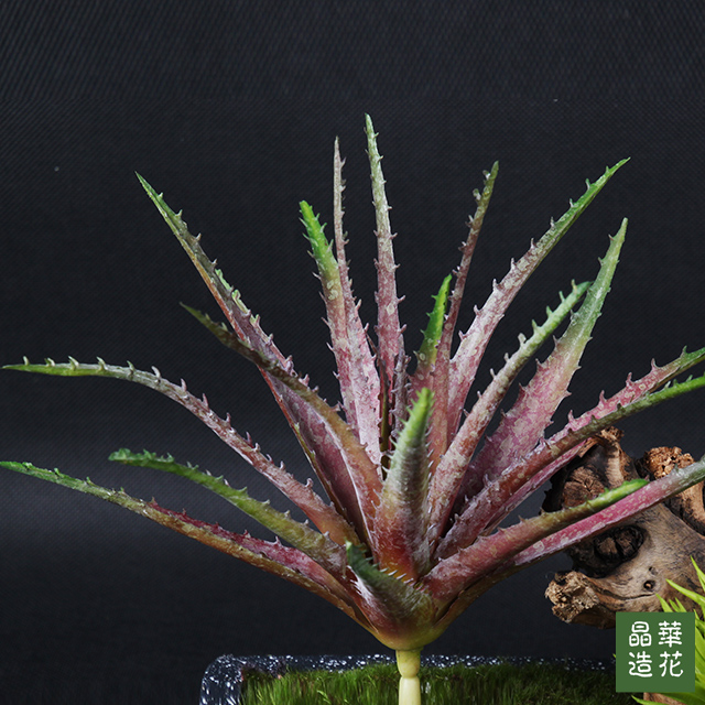 仿真多肉植物绿植摆件假芦荟创意家居饰品室内客厅阳台装饰花摆件|msdalam kategori Aksesori rumah, pasu/bunga/bunga tiruan/perhiasan imitasi, simulasi tumbuhan bonsai - dari Buy2taobao.com untuk memberikan perkhidmatan ejen Taobao profesional membeli