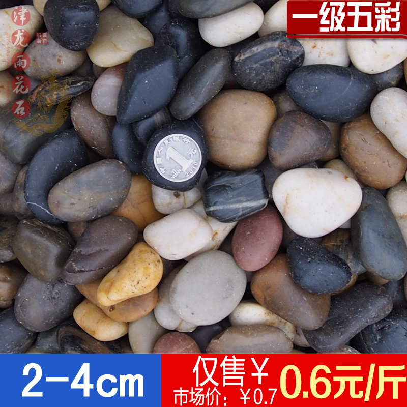 Paving Pebbles Pebble stone Soft stone Goose courtyard Paved gardens Stone Rain Flower stonein the Flower delivery/Flowers simulation/Plants gardening , Gardening supplies , Other Garden Supplies category - from Buy2taobao.com to provide professional Taobao agent buy service